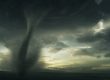 Born in a storm